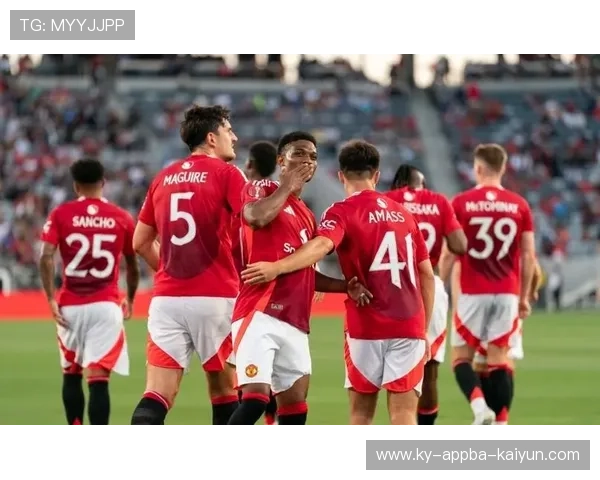 英超球队球迷最差排行榜及原因探讨