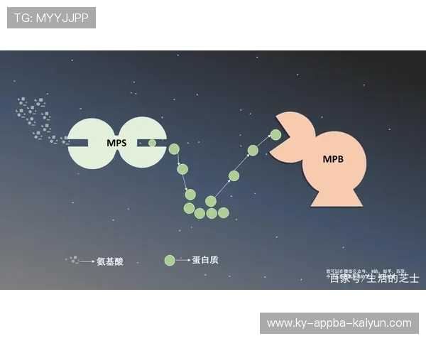 足球蛋白粉补给在赛后恢复与肌肉增长中的必要性与使用规范